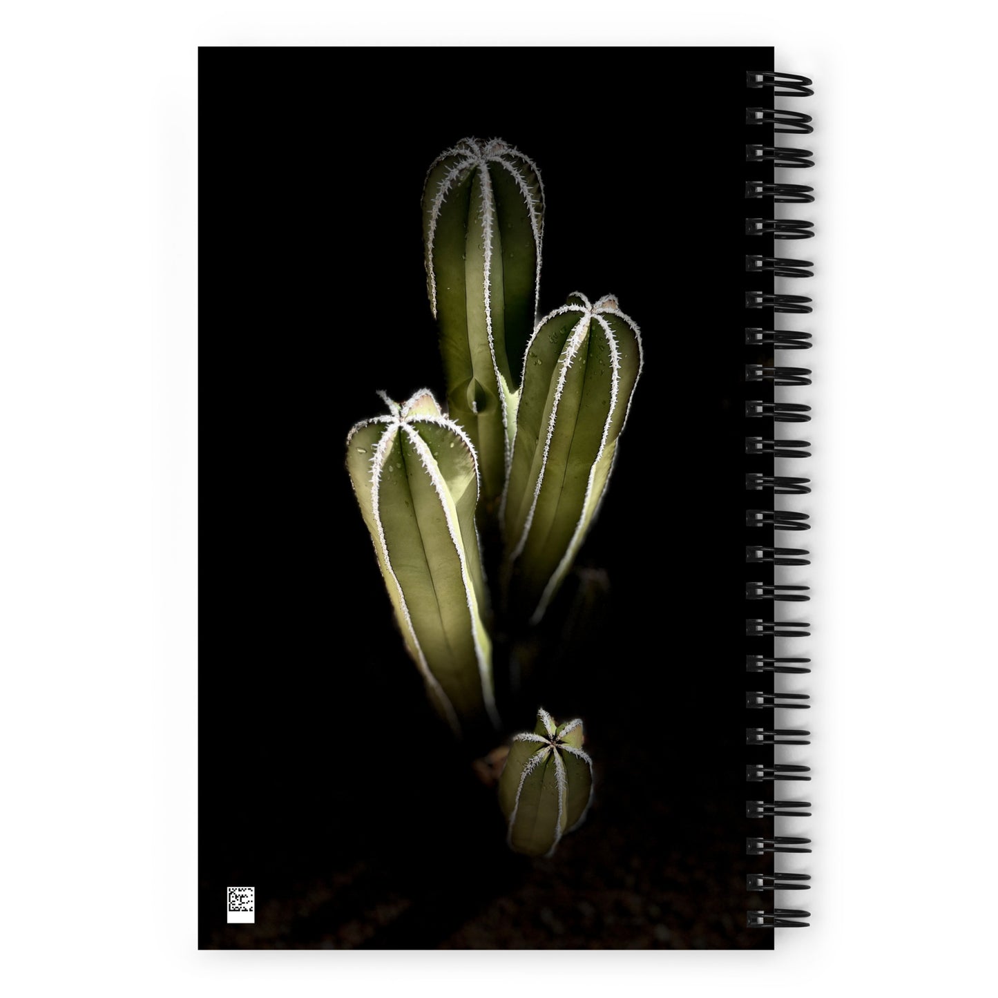 Saguaro Quad by Enrique Aldana Photography | Spiral notebook