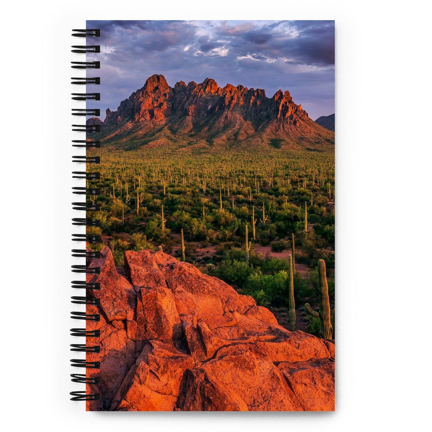 Ironwood National Monument by Sean Parker Photography | Spiral notebook