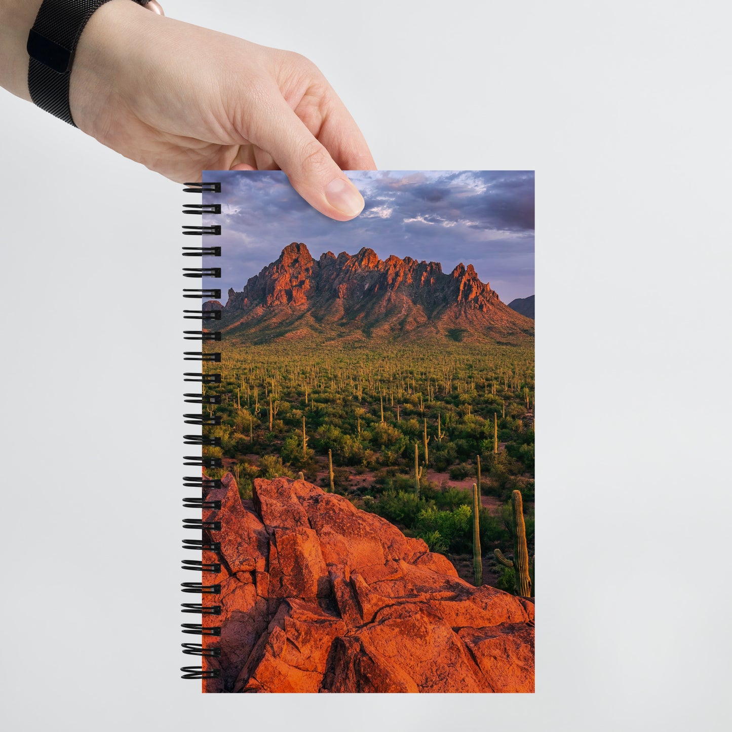 Ironwood National Monument by Sean Parker Photography | Spiral notebook