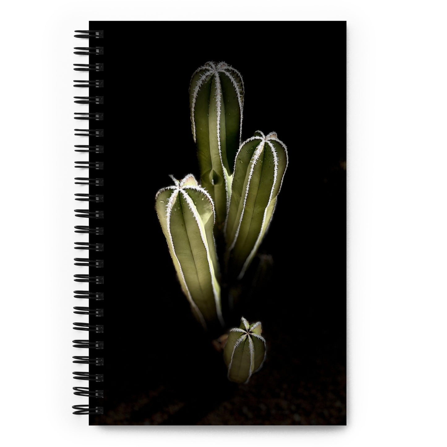 Saguaro Quad by Enrique Aldana Photography | Spiral notebook