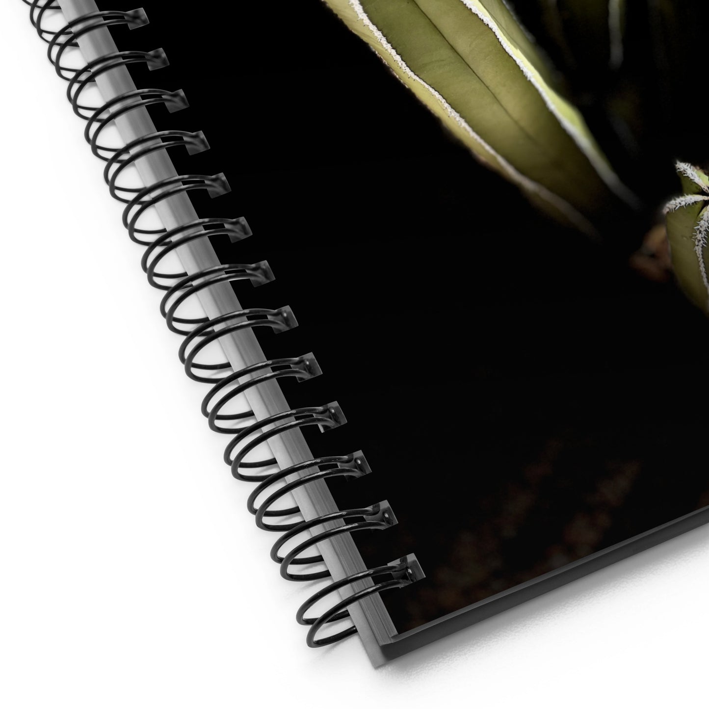 Saguaro Quad by Enrique Aldana Photography | Spiral notebook