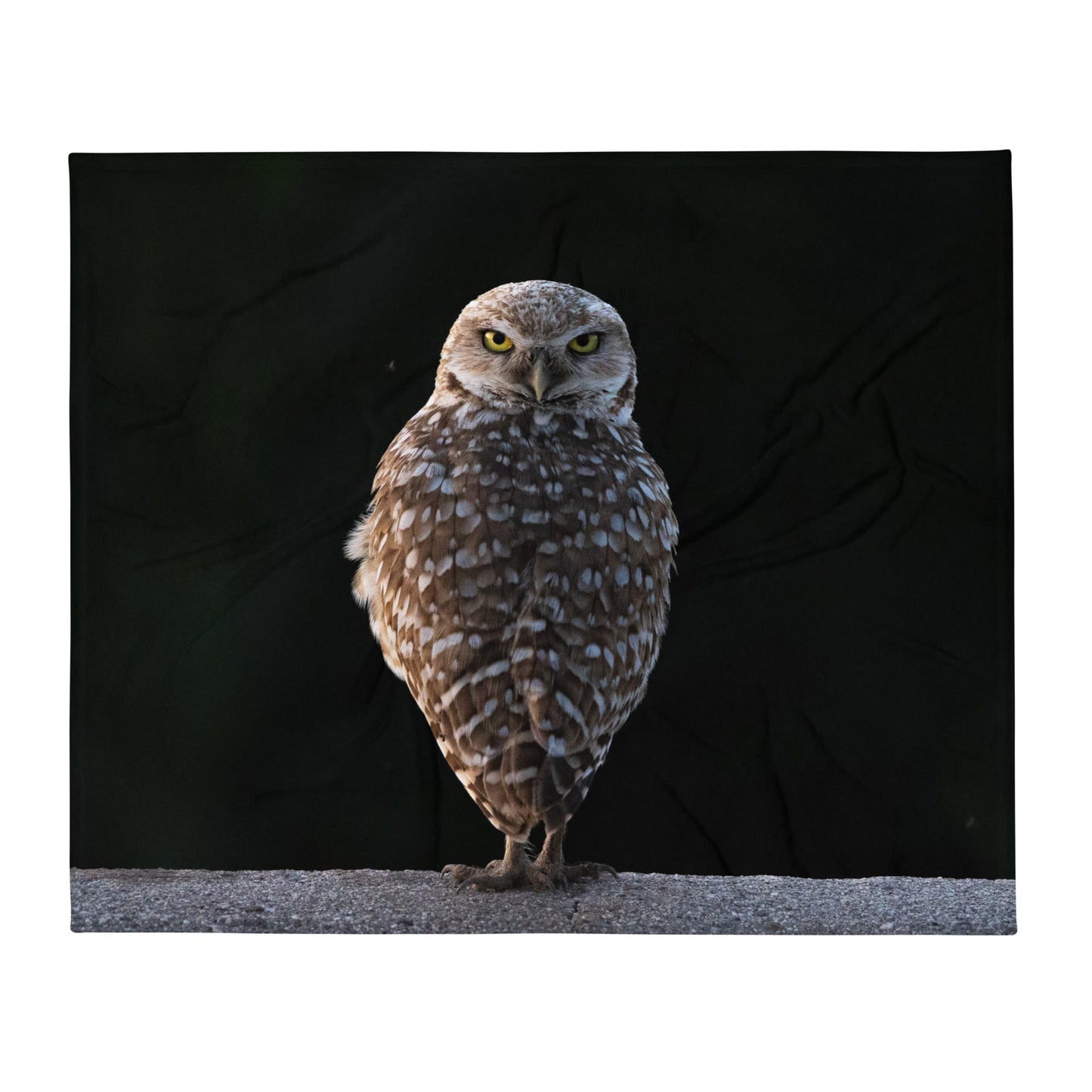 Burrowing Owl by Leslie Leathers Photography l Throw Blanket