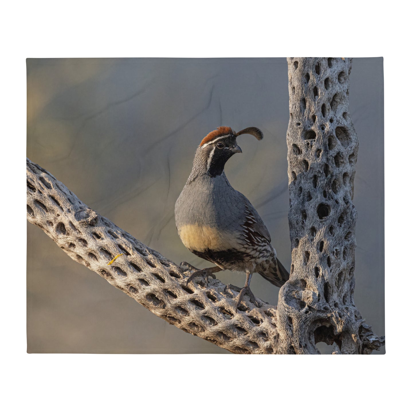 Quail on Cholla by Leslie Leathers Photography | Throw Blanket