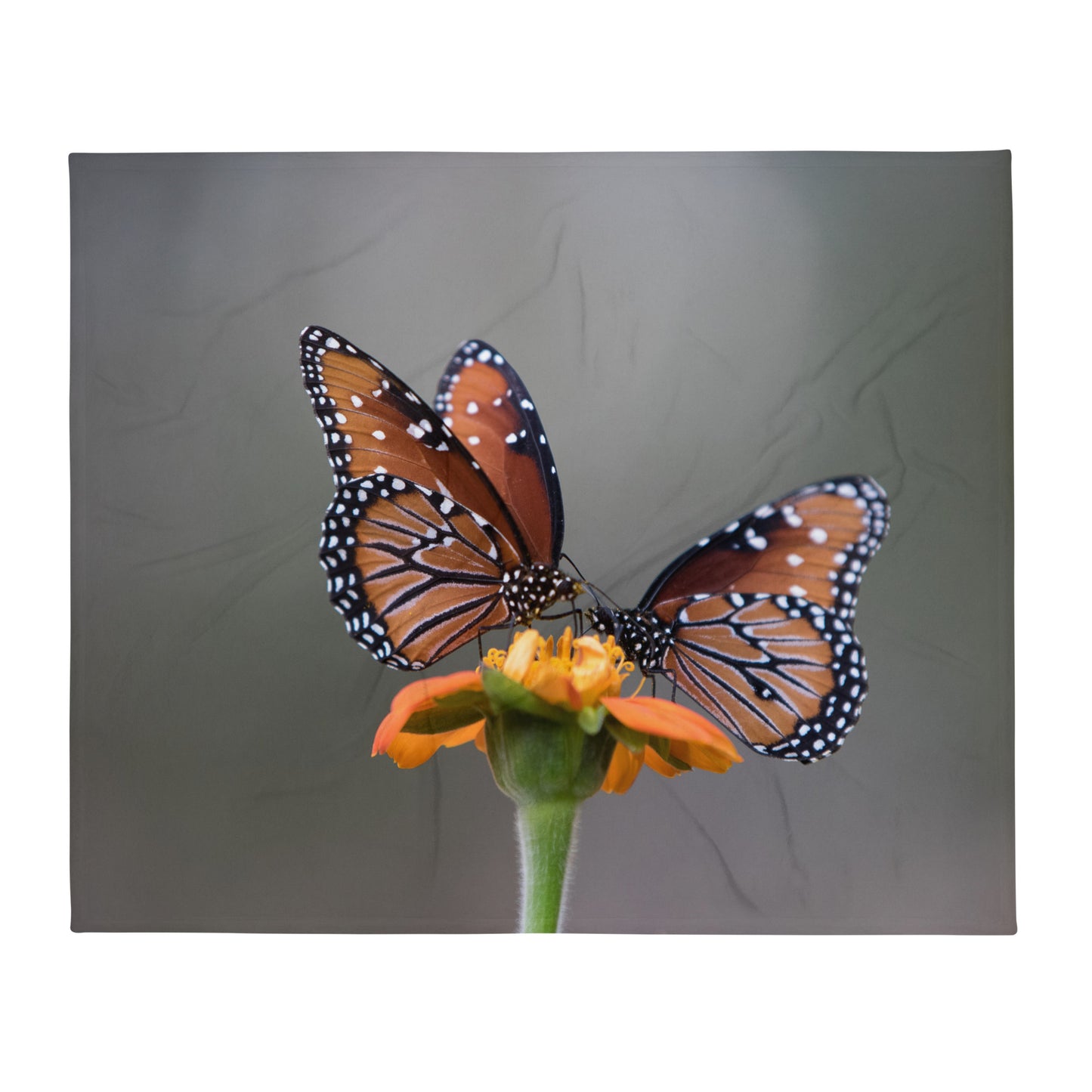 Queen Butterflies by Leslie Leathers Photography | Throw Blanket