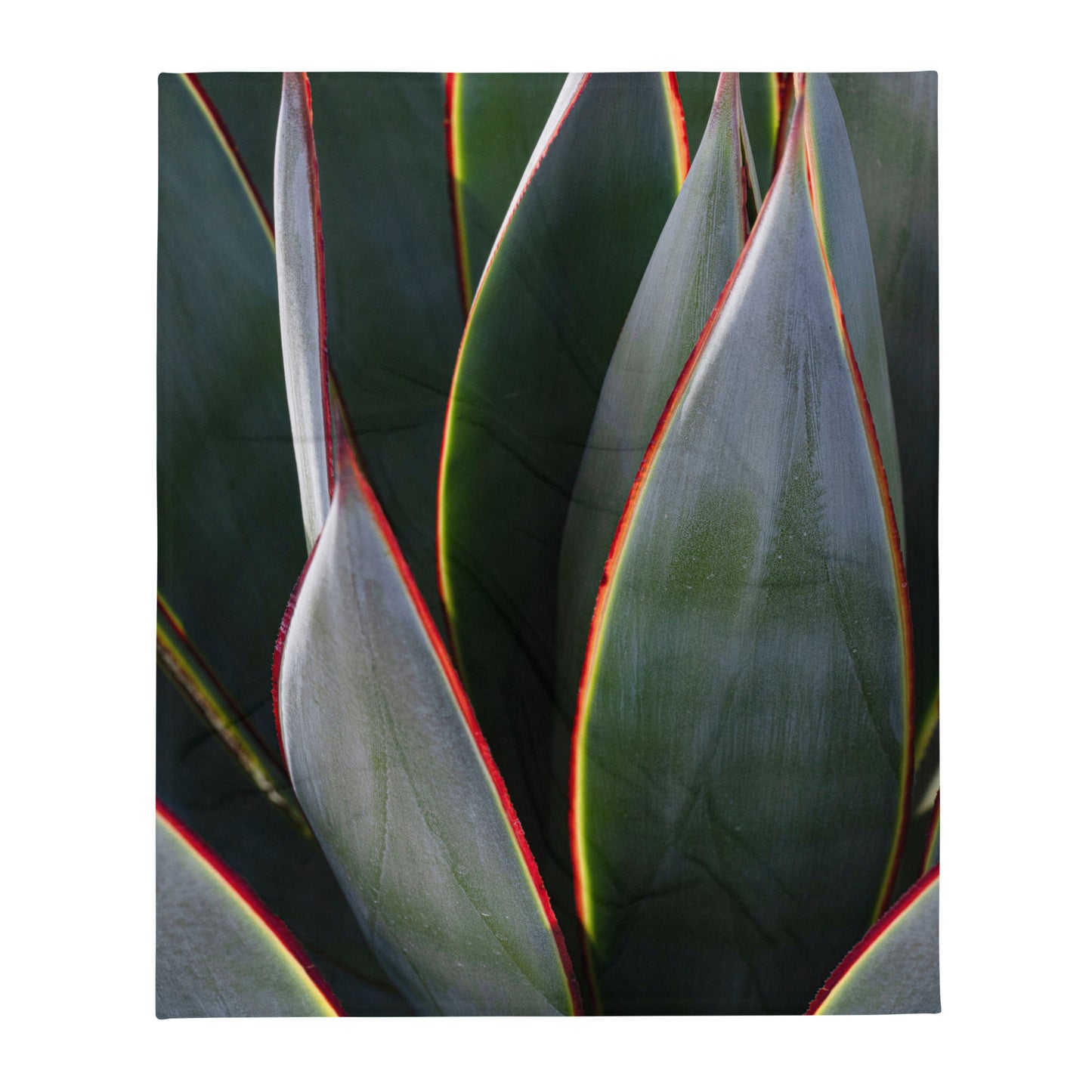 Agave Leslie Leathers Photography | Throw Blanket