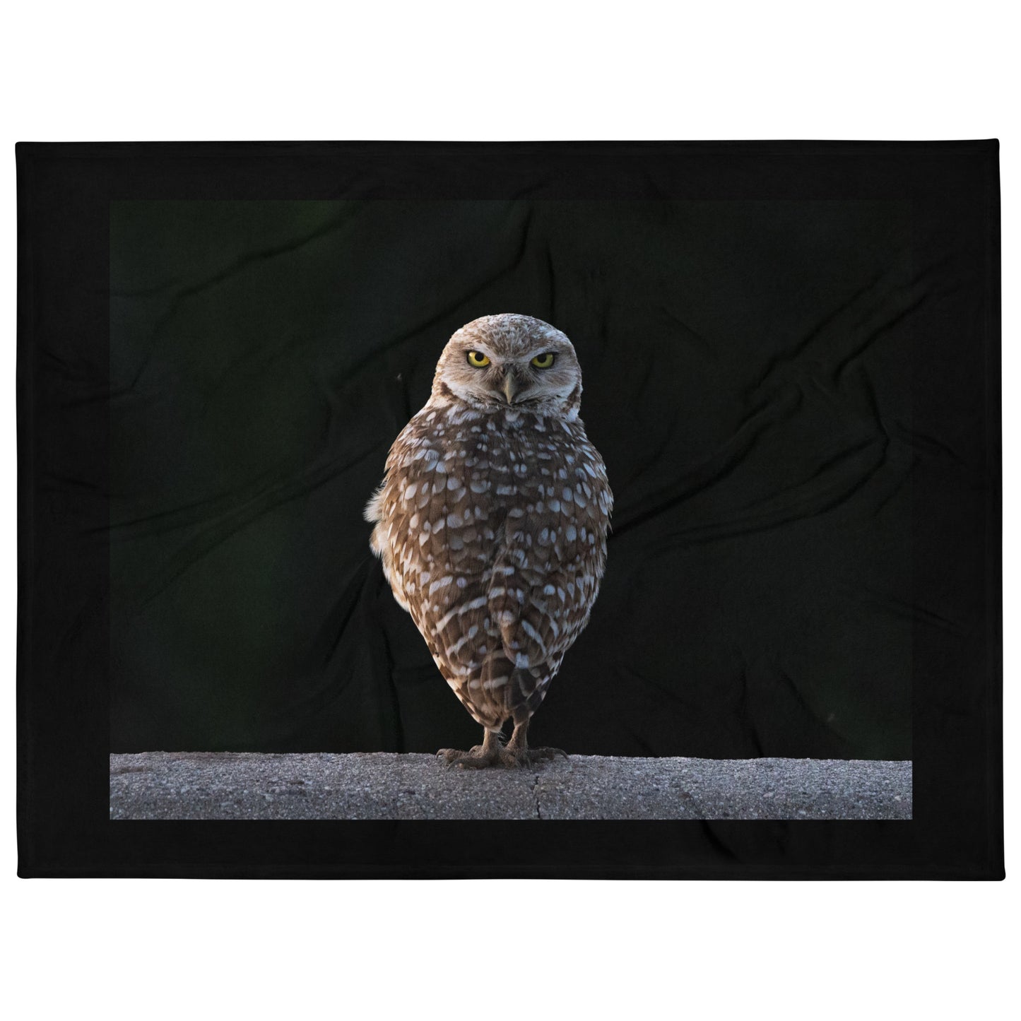 Burrowing Owl by Leslie Leathers Photography l Throw Blanket