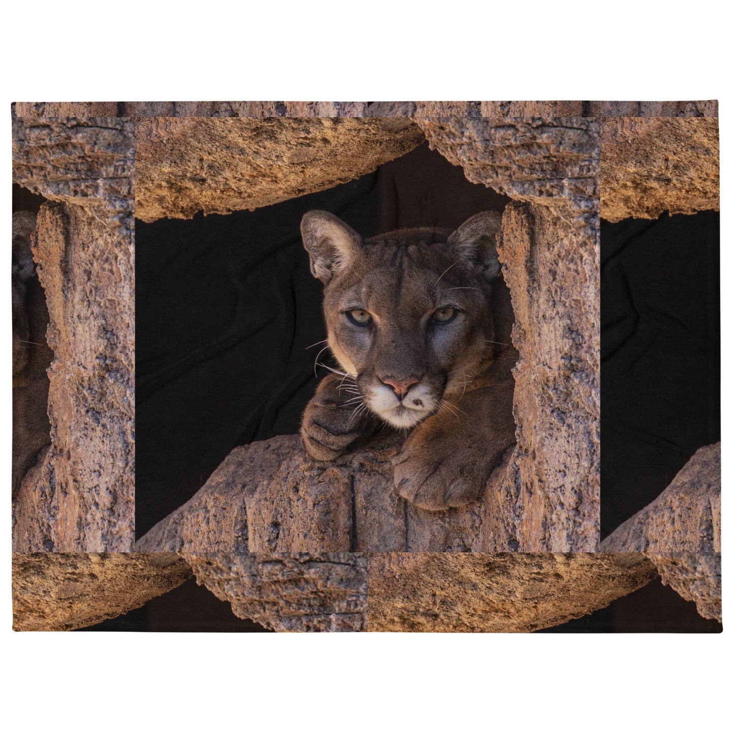 Cruz by Leslie Leathers Photography l Throw Blanket