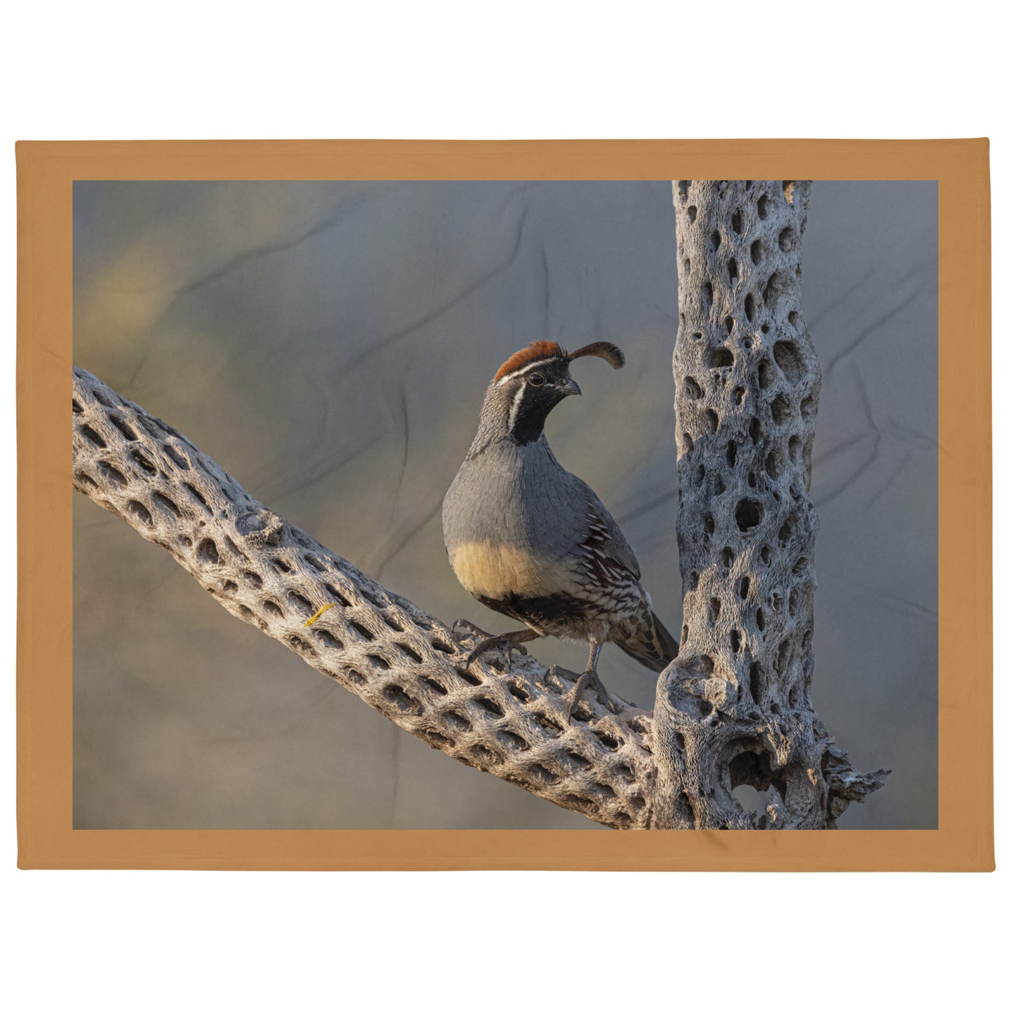 Quail on Cholla by Leslie Leathers Photography | Throw Blanket