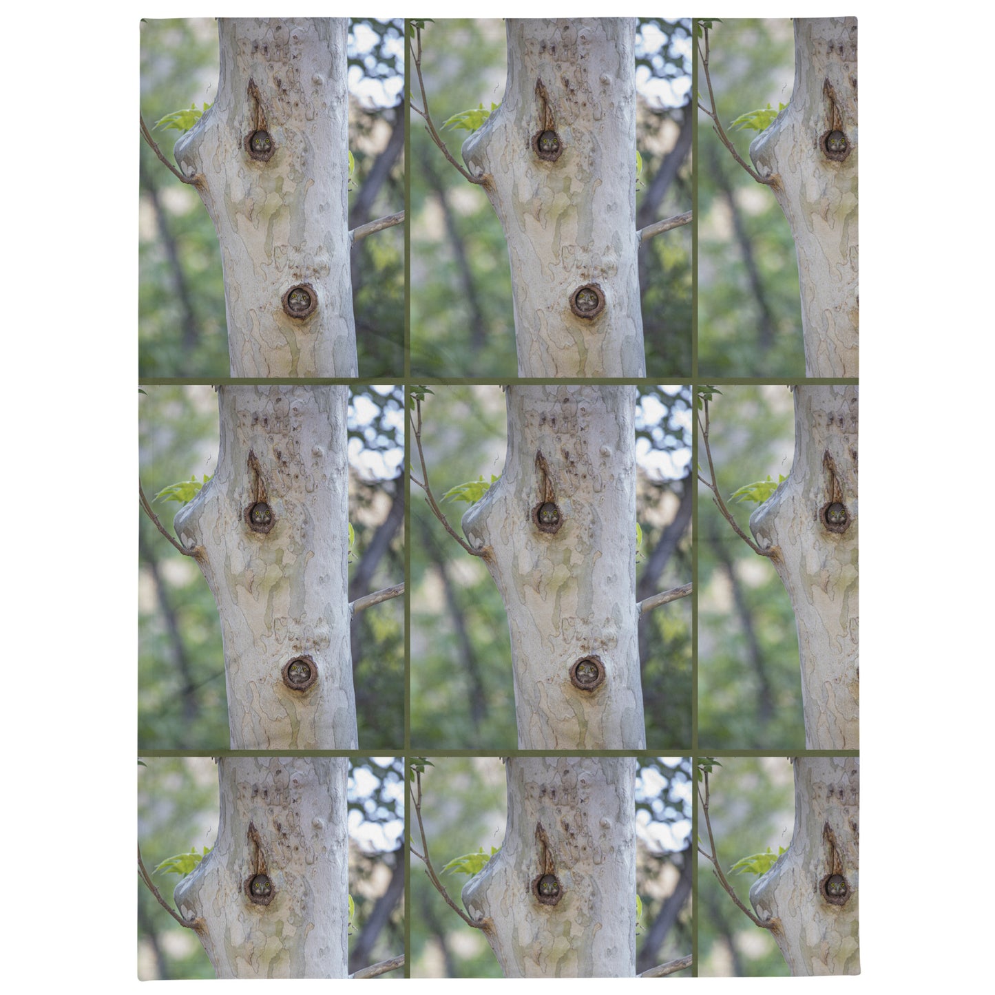 Owl Condo by Leslie Leathers Photography | Throw Blanket