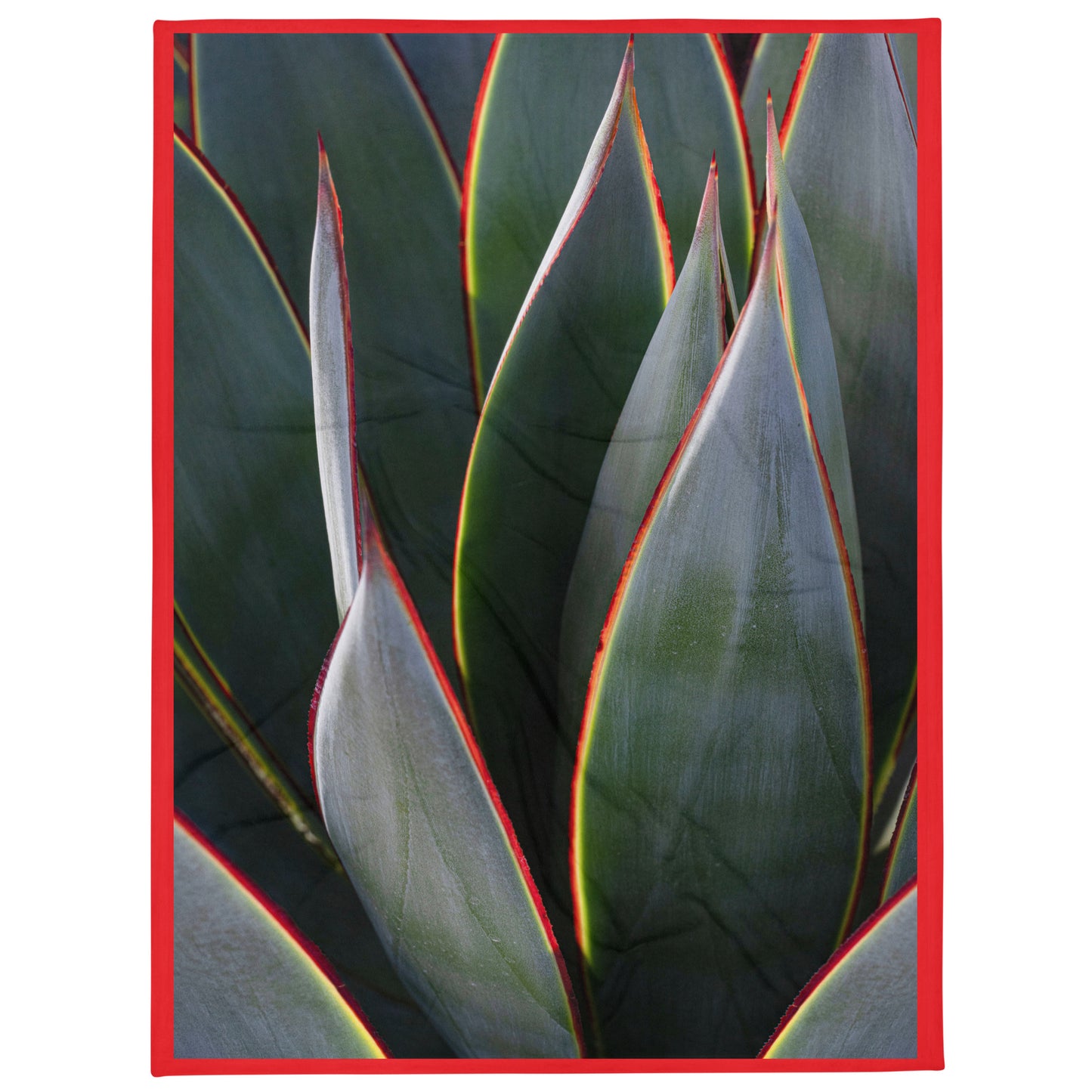 Agave Leslie Leathers Photography | Throw Blanket