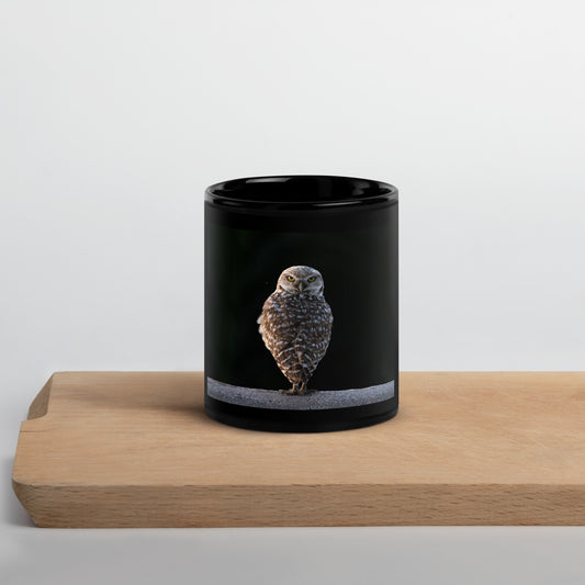 Owl by Leslie Leathers Photography | Black Glossy Mug