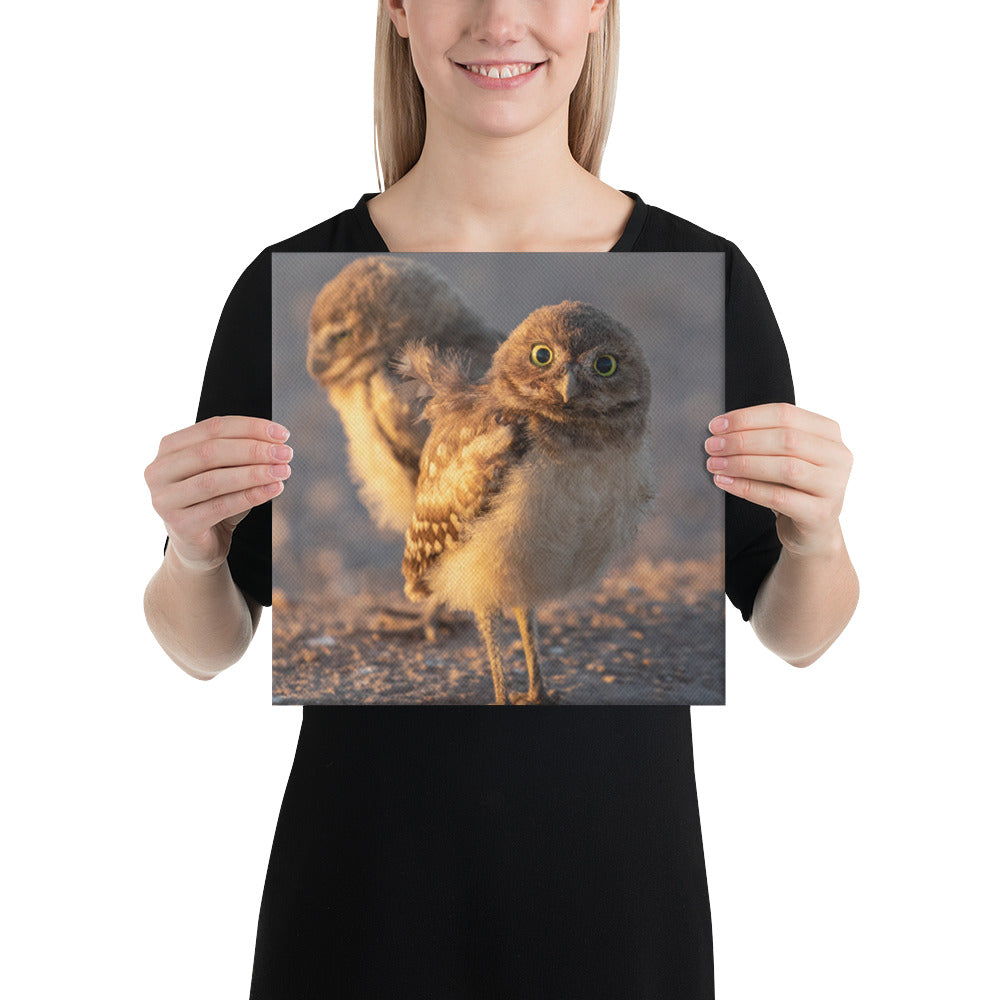 Burrowing Owls Duo by Leslie Leathers Photography | Wrapped Canvas