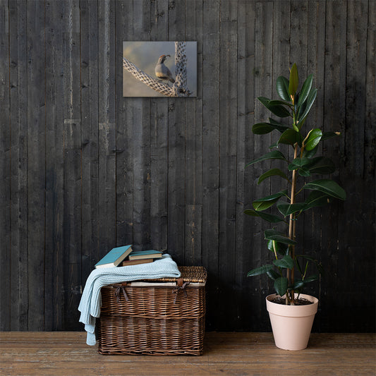 Quail on Cholla by Leslie Leathers Photography | Wrapped Canvas