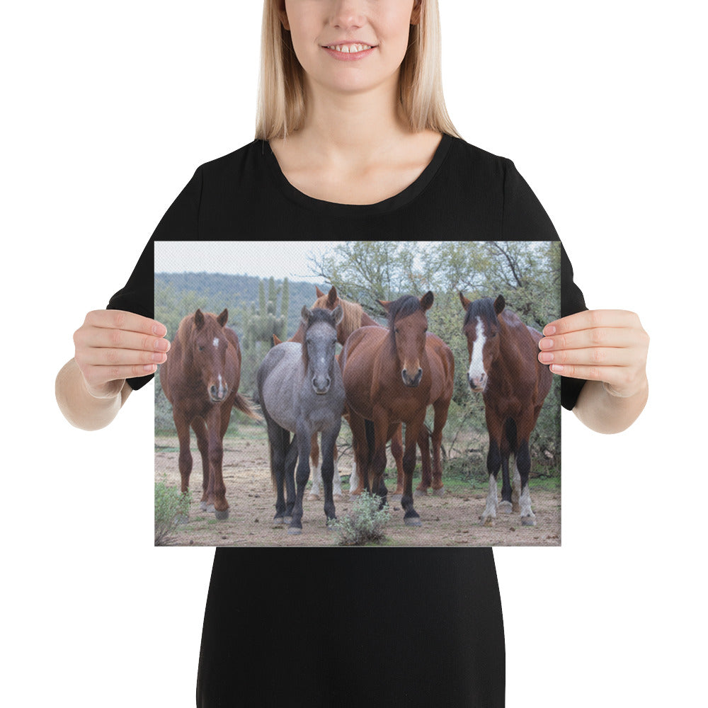 Dream Team by Leslie Leathers Photography | Wrapped Canvas