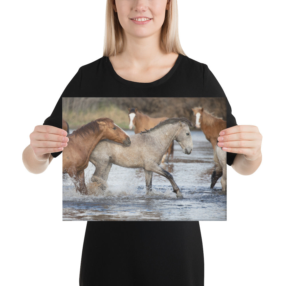 Wild Mustangs by Leslie Leathers Photography | Wrapped Canvas