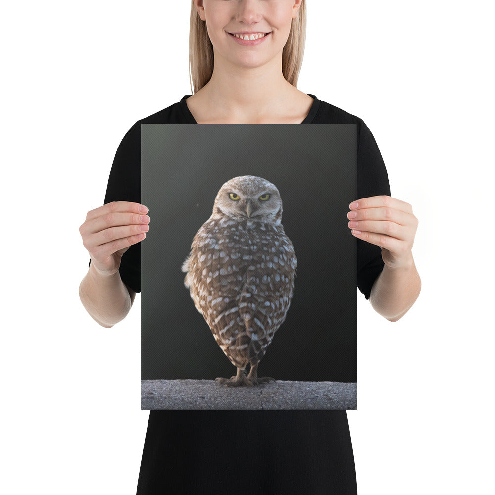 Burrowing Owl By Leslie Leathers Photography | Wrapped Canvas