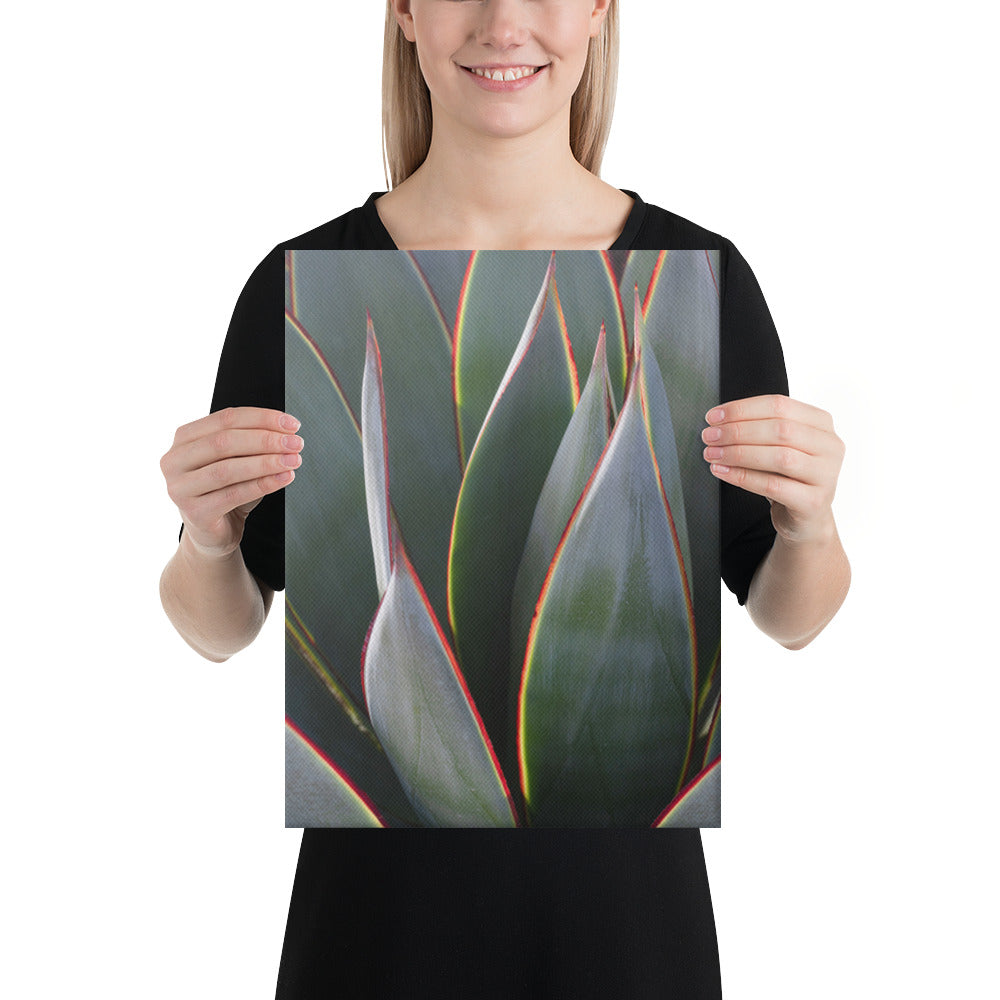 Agave by Leslie Leathers Photography | Wrapped Canvas