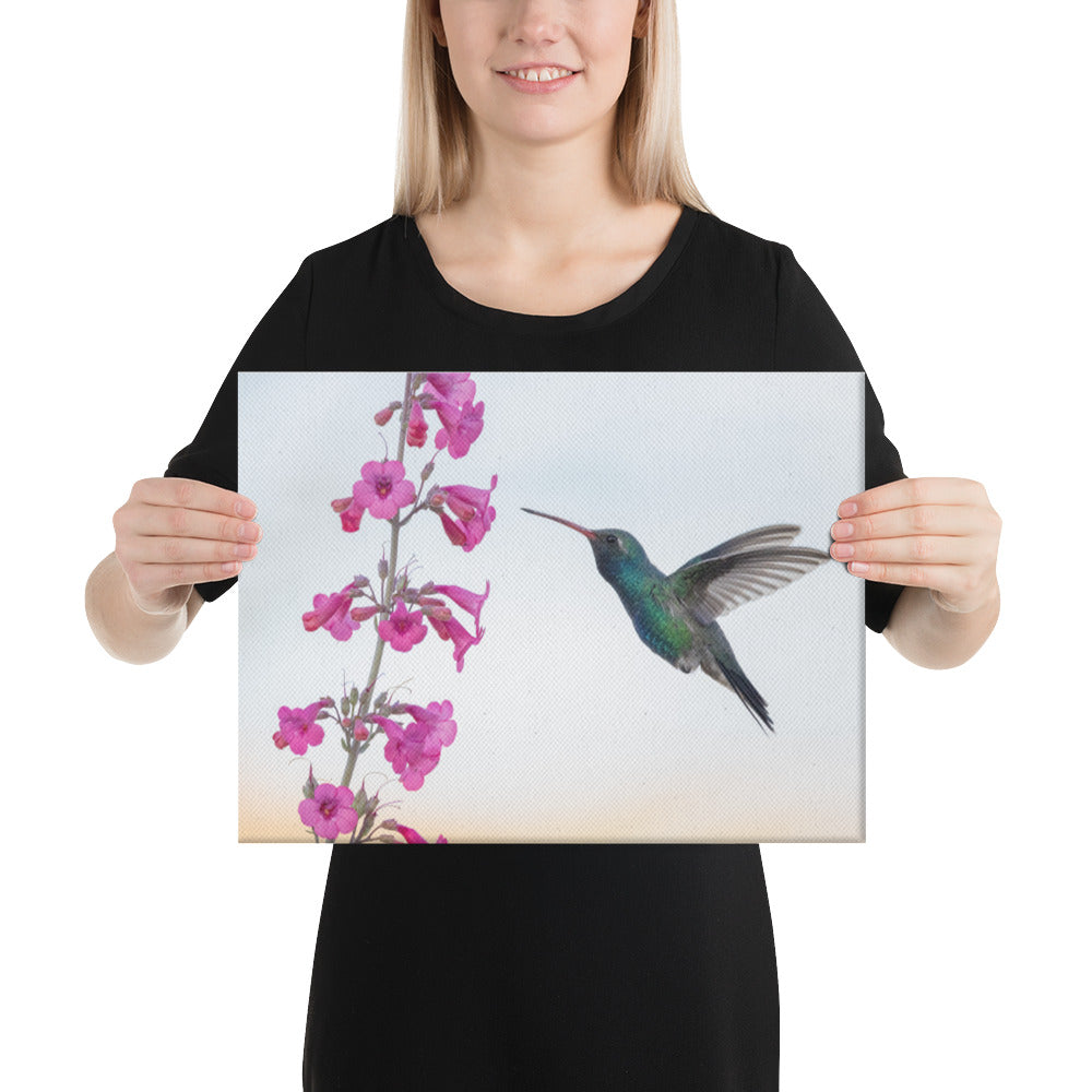 Broad Billed Hummingbird by Leslie Leathers Photography | Wrapped Canvas