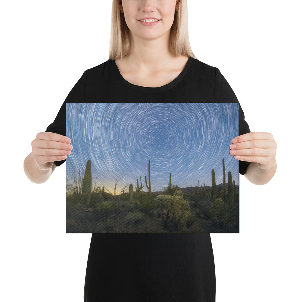 Sonoran Startails by Sean Parker Photography | Wrapped Canvas