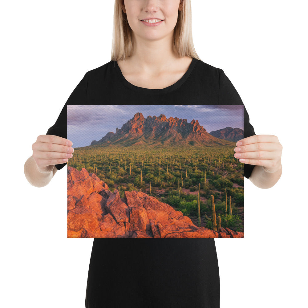 Ironwood National Monument By Sean Parker Photography | Wrapped Canvas