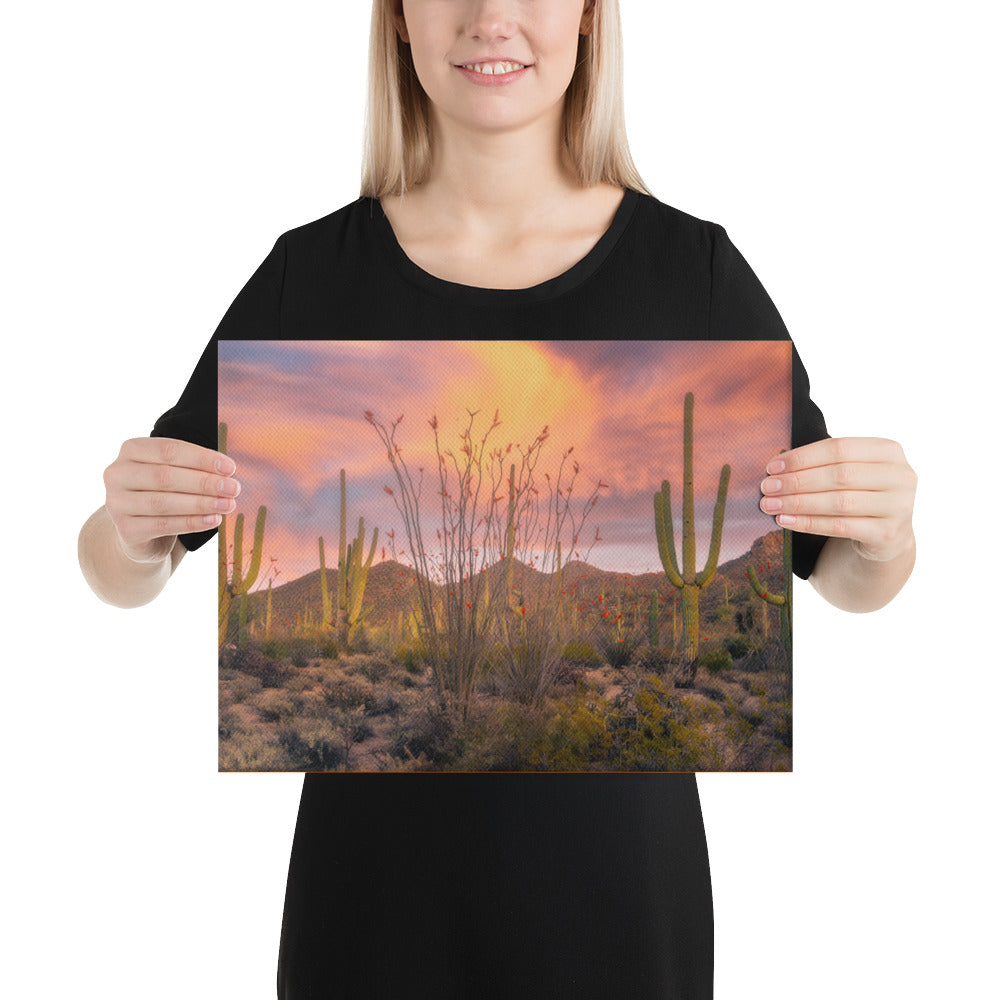 Tucson Mountain Park Sunset by Sean Parker Photography | Wrapped Canvas