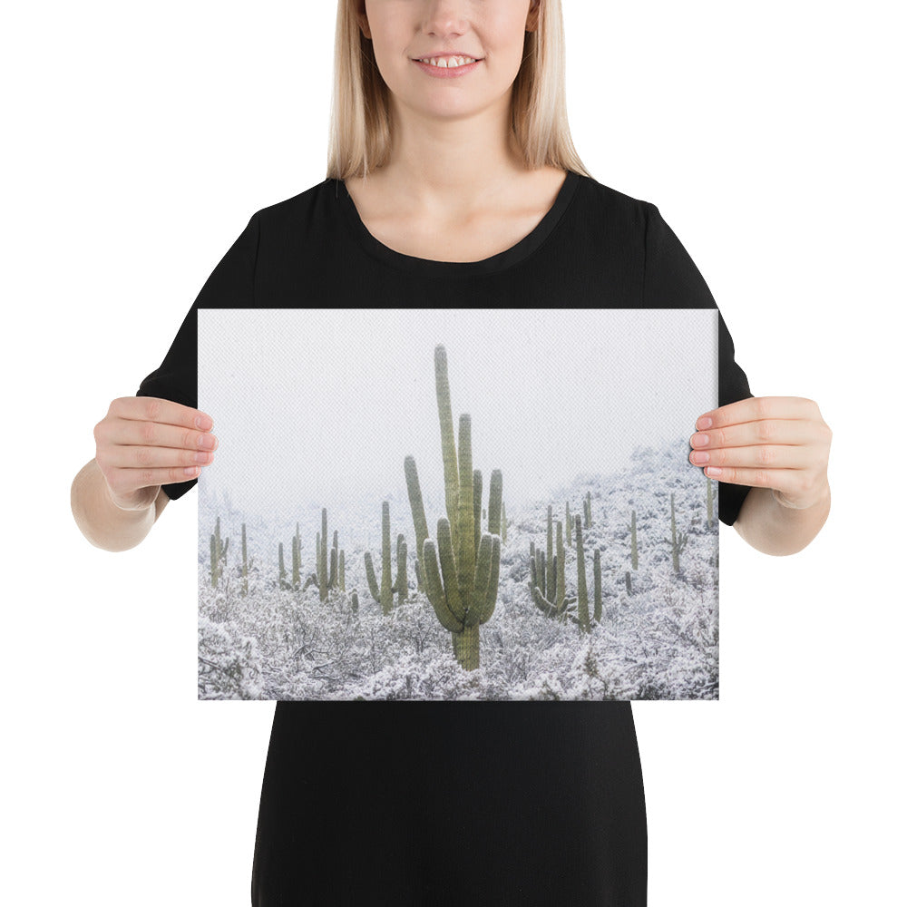 Saguaro Snowfall by Sean Parker Photography | Wrapped Canvas