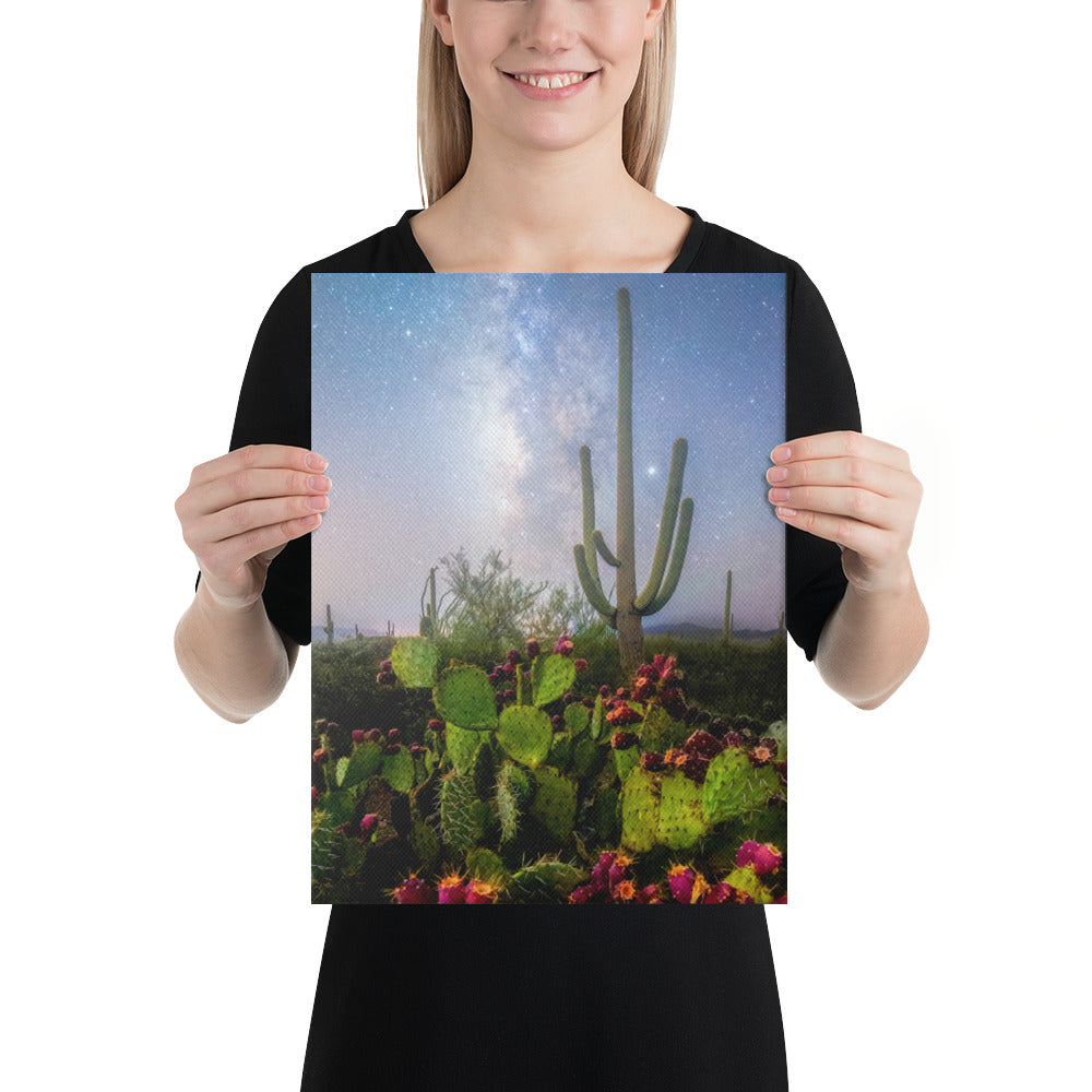 Milky Way Prickly Pear by Sean Parker Photography | Wrapped Canvas