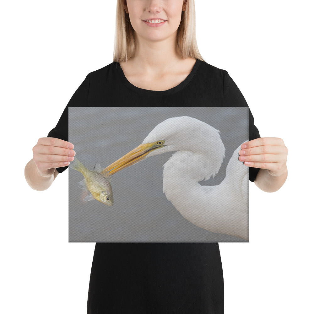 Great White Egret by Leslie Leathers Photography | Canvas