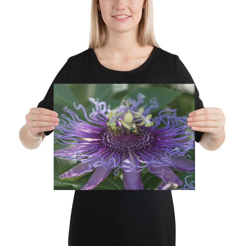 Purple Passion Flower by Leslie Leathers Photography | Wrapped Canvas