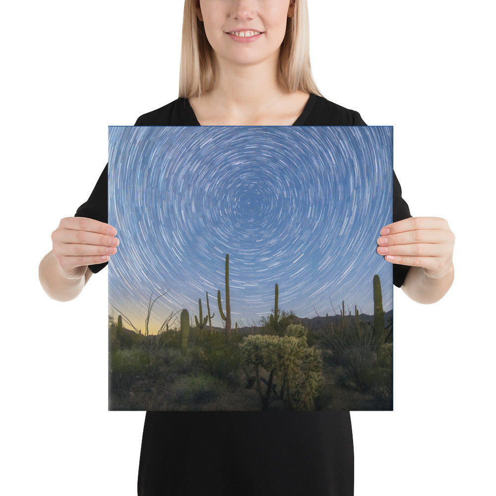 Sonoran Startails by Sean Parker Photography | Wrapped Canvas