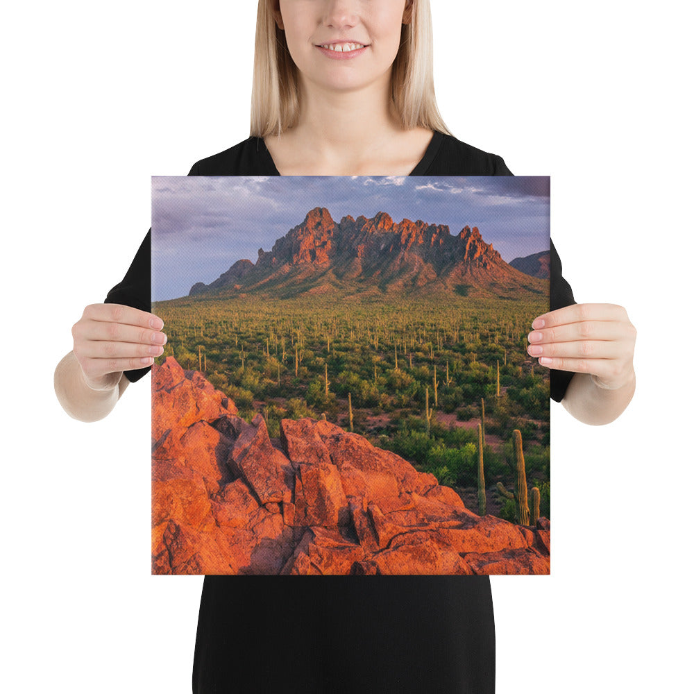 Ironwood National Monument By Sean Parker Photography | Wrapped Canvas