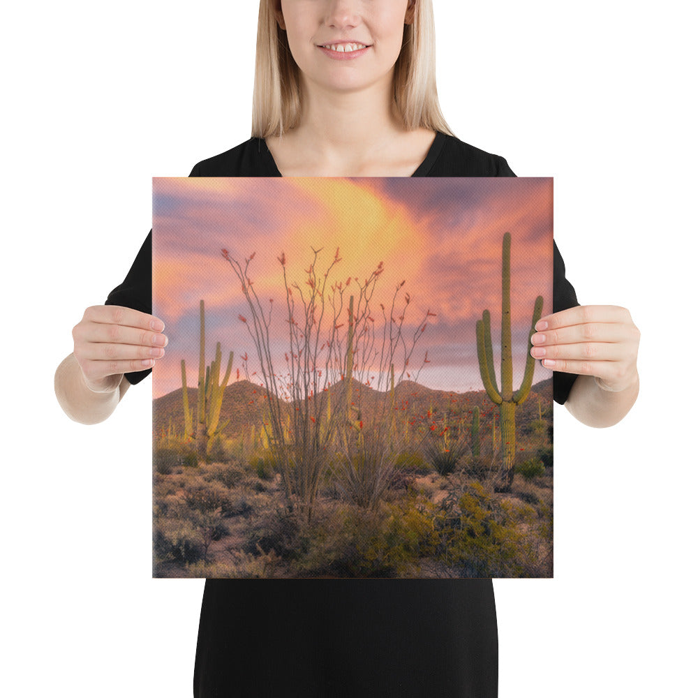 Tucson Mountain Park Sunset by Sean Parker Photography | Wrapped Canvas