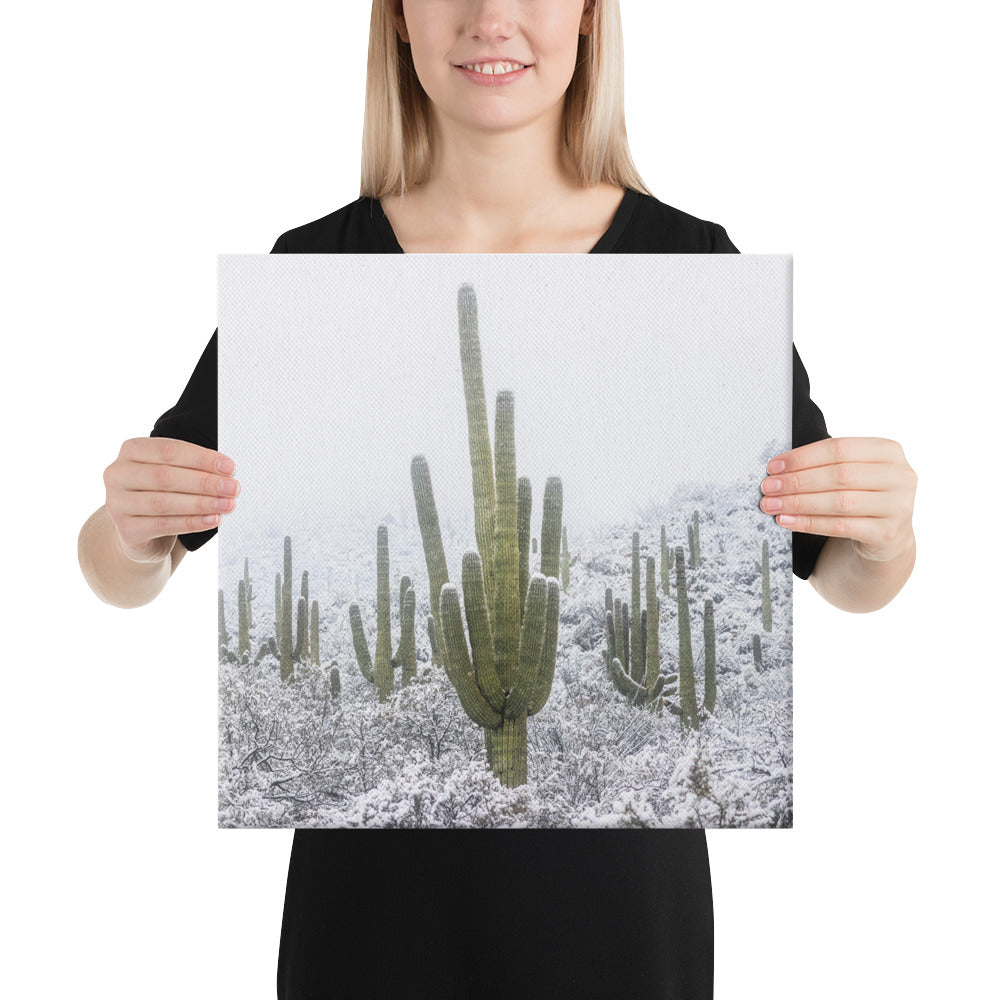 Saguaro Snowfall by Sean Parker Photography | Wrapped Canvas