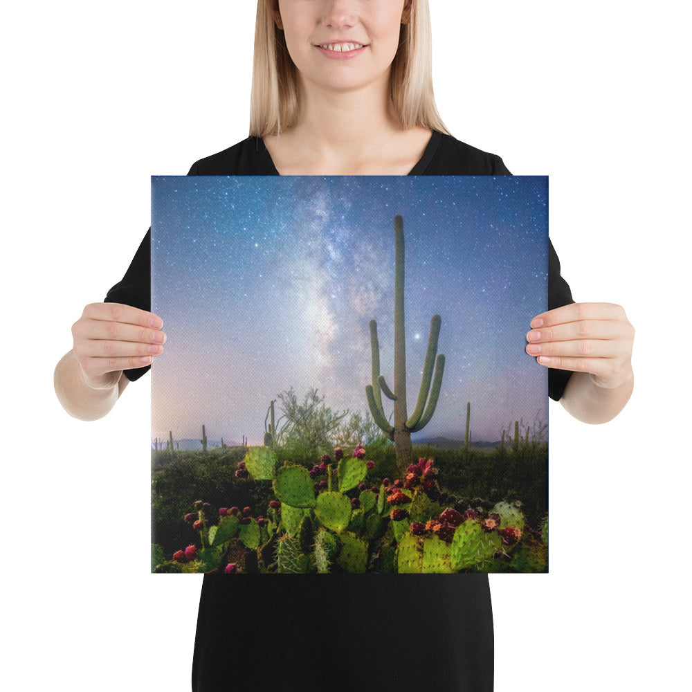 Milky Way Prickly Pear by Sean Parker Photography | Wrapped Canvas