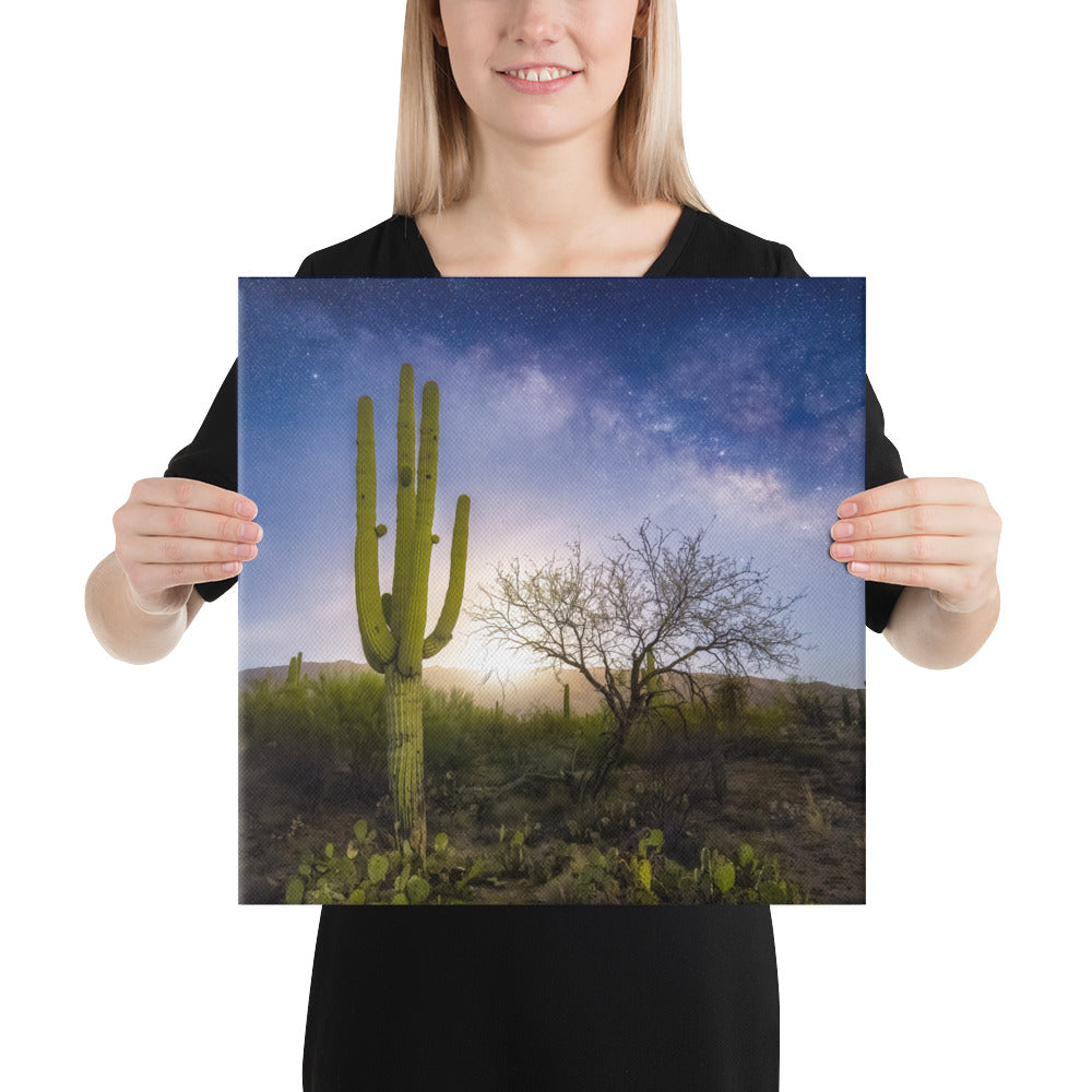 Milkyway Moonrise by Sean Parker Photography | Wrapped Canvas