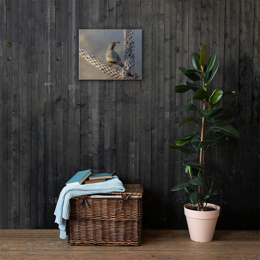 Quail on Cholla by Leslie Leathers Photography | Wrapped Canvas