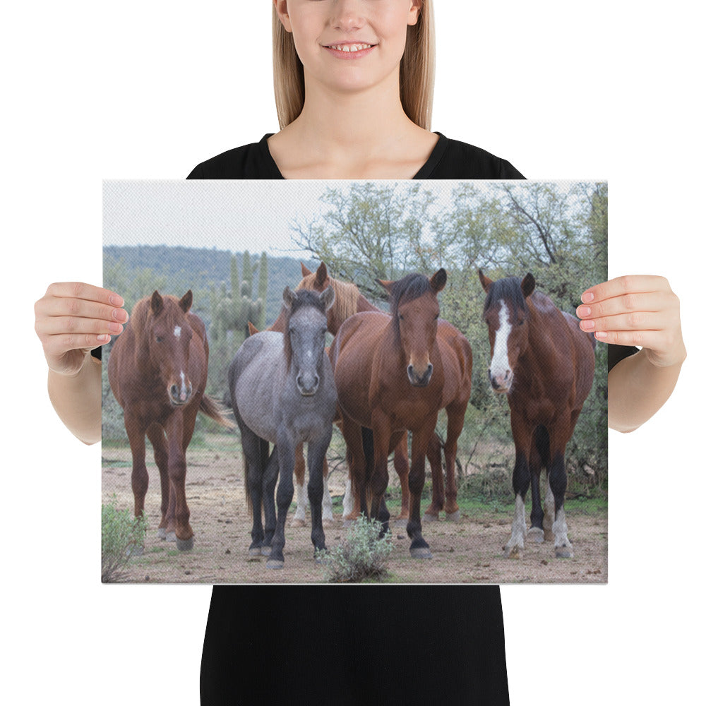 Dream Team by Leslie Leathers Photography | Wrapped Canvas