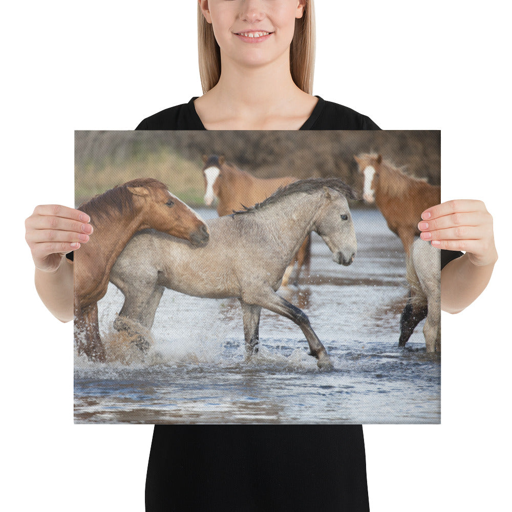 Wild Mustangs by Leslie Leathers Photography | Wrapped Canvas