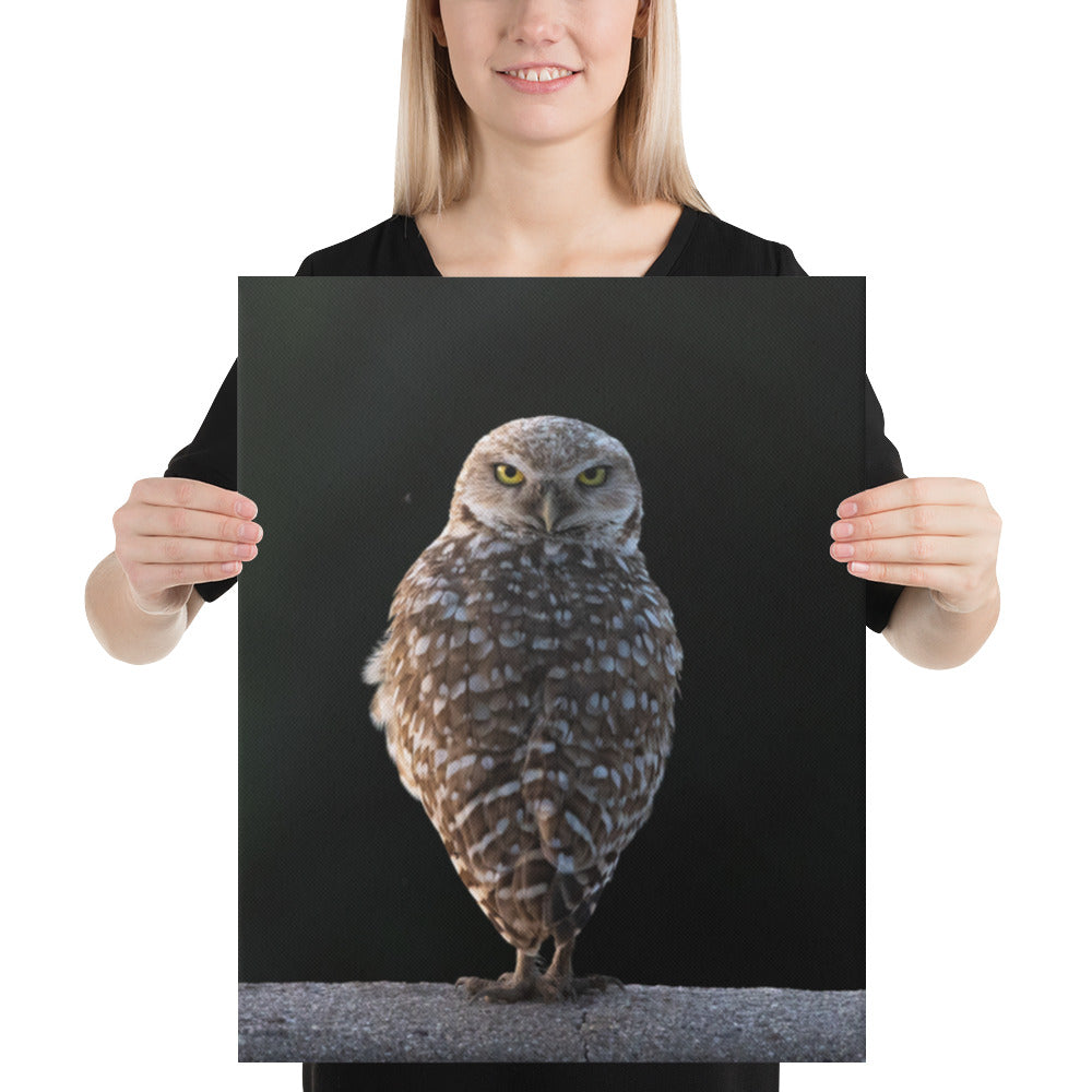 Burrowing Owl By Leslie Leathers Photography | Wrapped Canvas