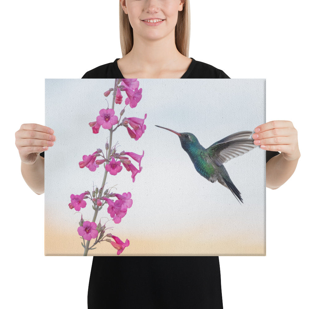 Broad Billed Hummingbird by Leslie Leathers Photography | Wrapped Canvas