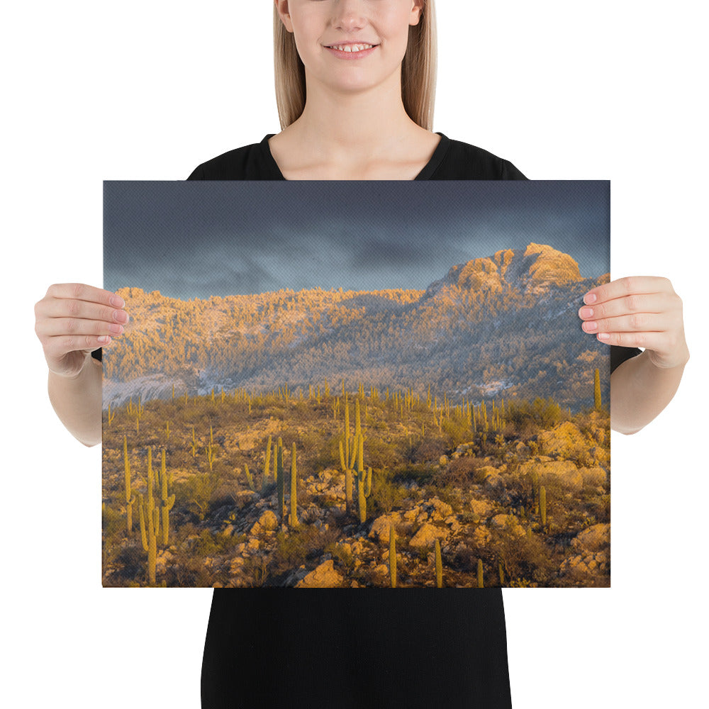 Rincon Mountain Snow by Sean Parker Photography | Wrapped Canvas