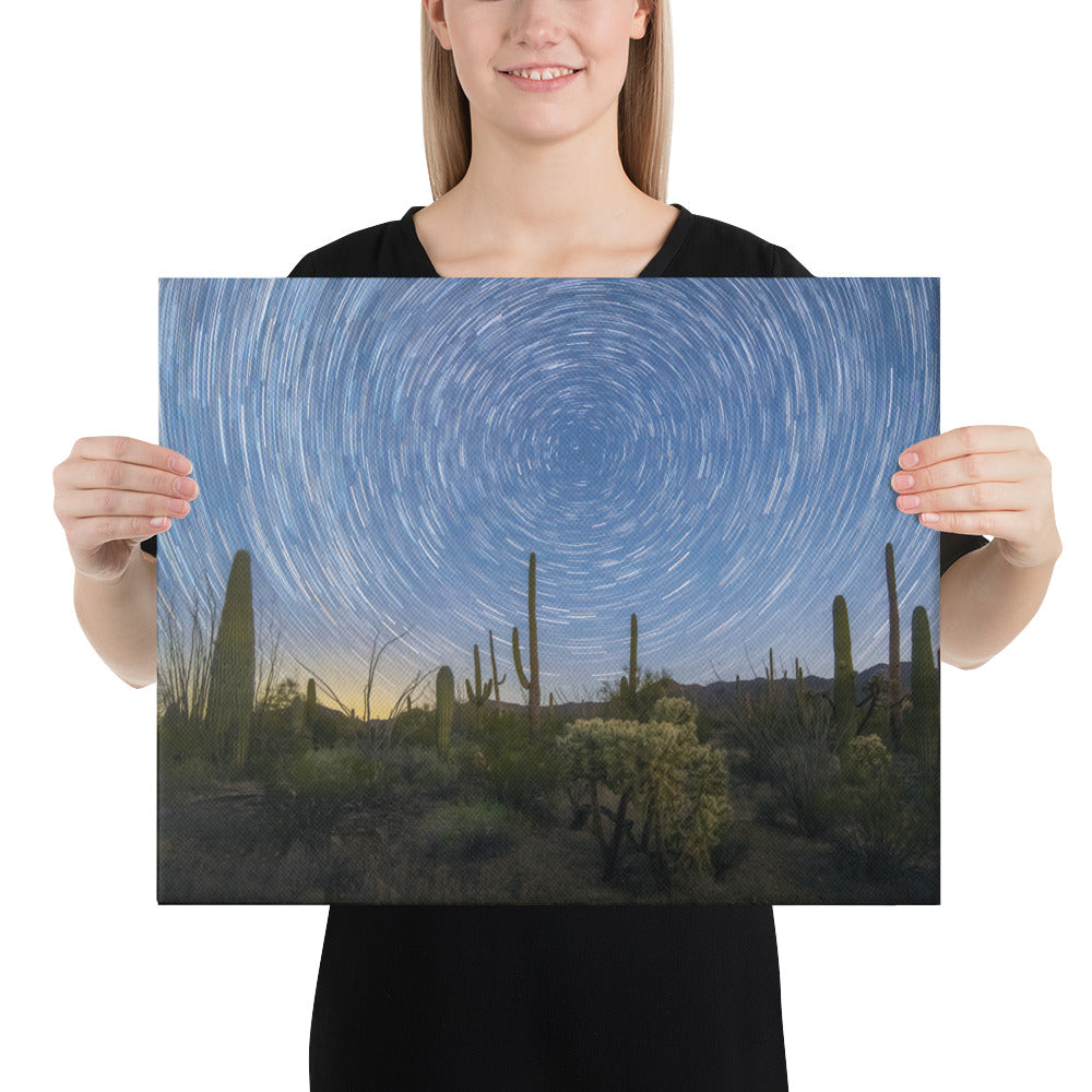 Sonoran Startails by Sean Parker Photography | Wrapped Canvas