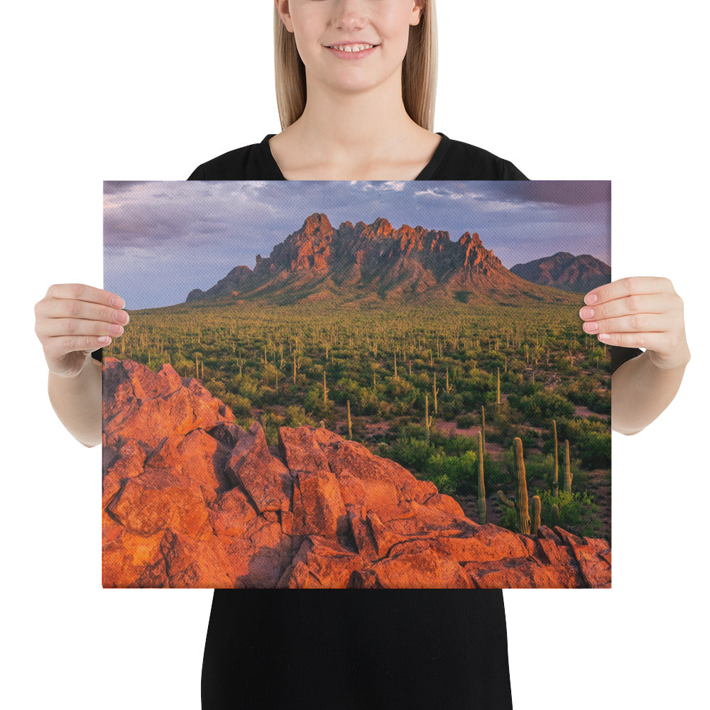 Ironwood National Monument By Sean Parker Photography | Wrapped Canvas