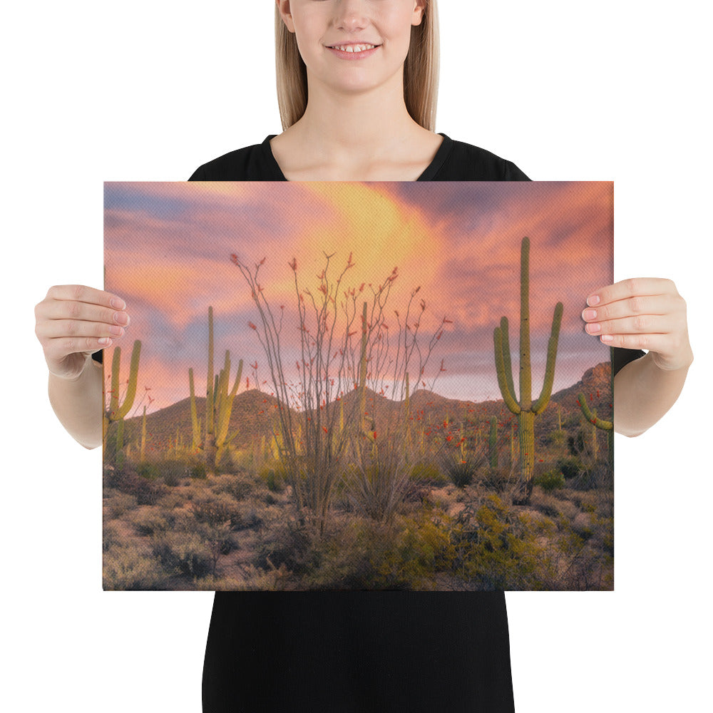 Tucson Mountain Park Sunset by Sean Parker Photography | Wrapped Canvas