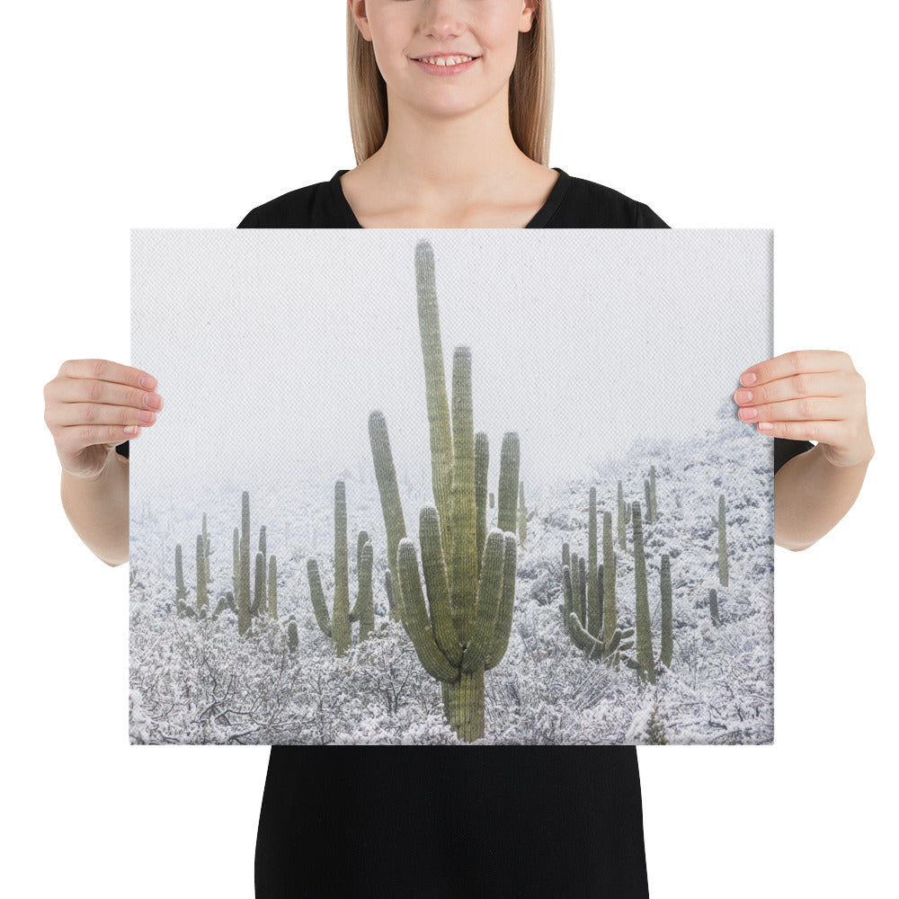 Saguaro Snowfall by Sean Parker Photography | Wrapped Canvas