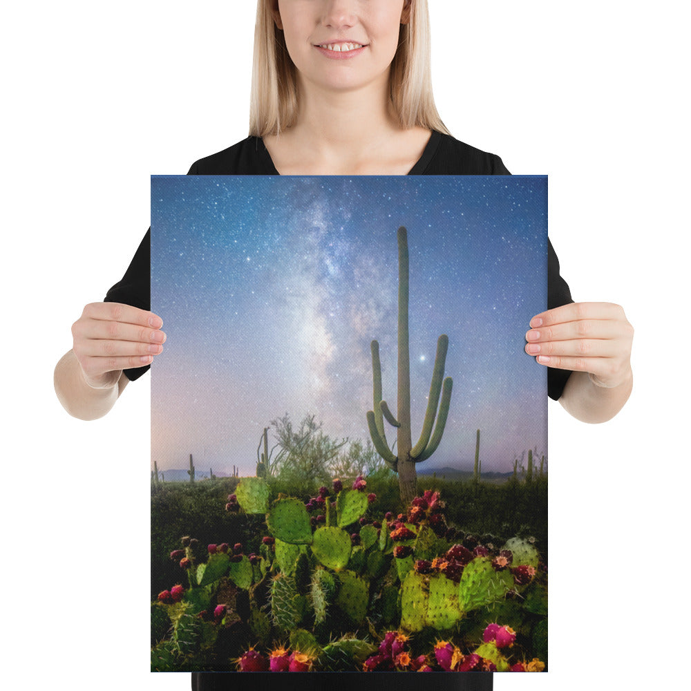 Milky Way Prickly Pear by Sean Parker Photography | Wrapped Canvas