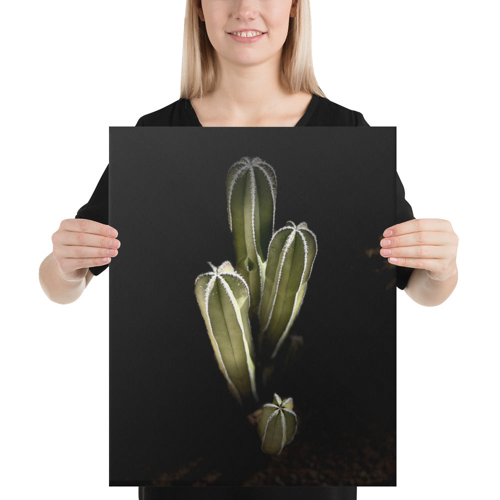Saguaro Quad by Enrique Aldana Photography | Wrapped Canvas
