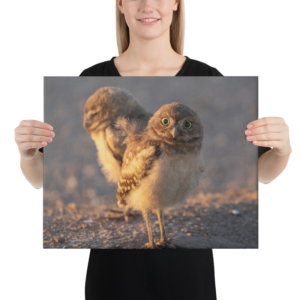 Burrowing Owls Duo by Leslie Leathers Photography | Wrapped Canvas