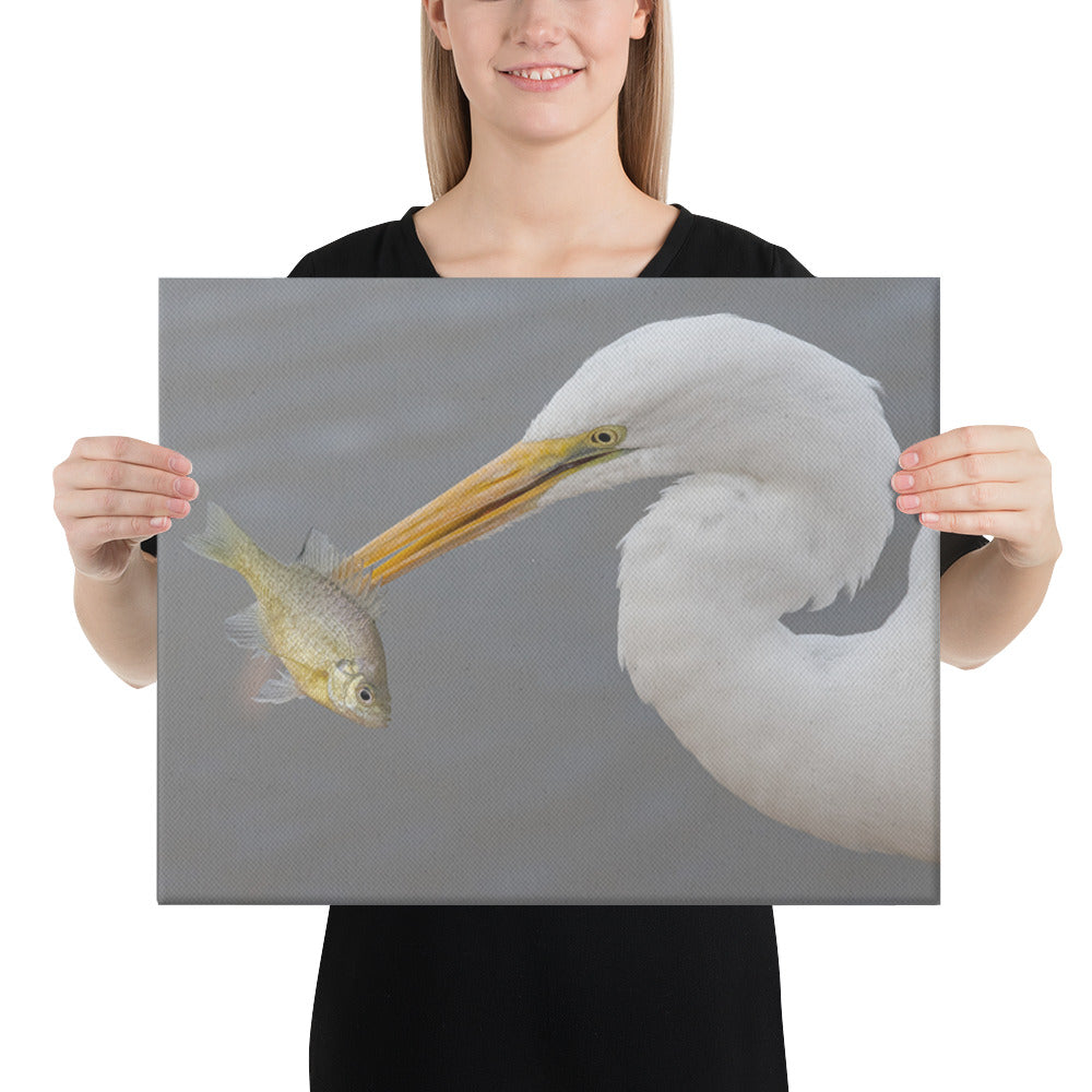 Great White Egret by Leslie Leathers Photography | Canvas