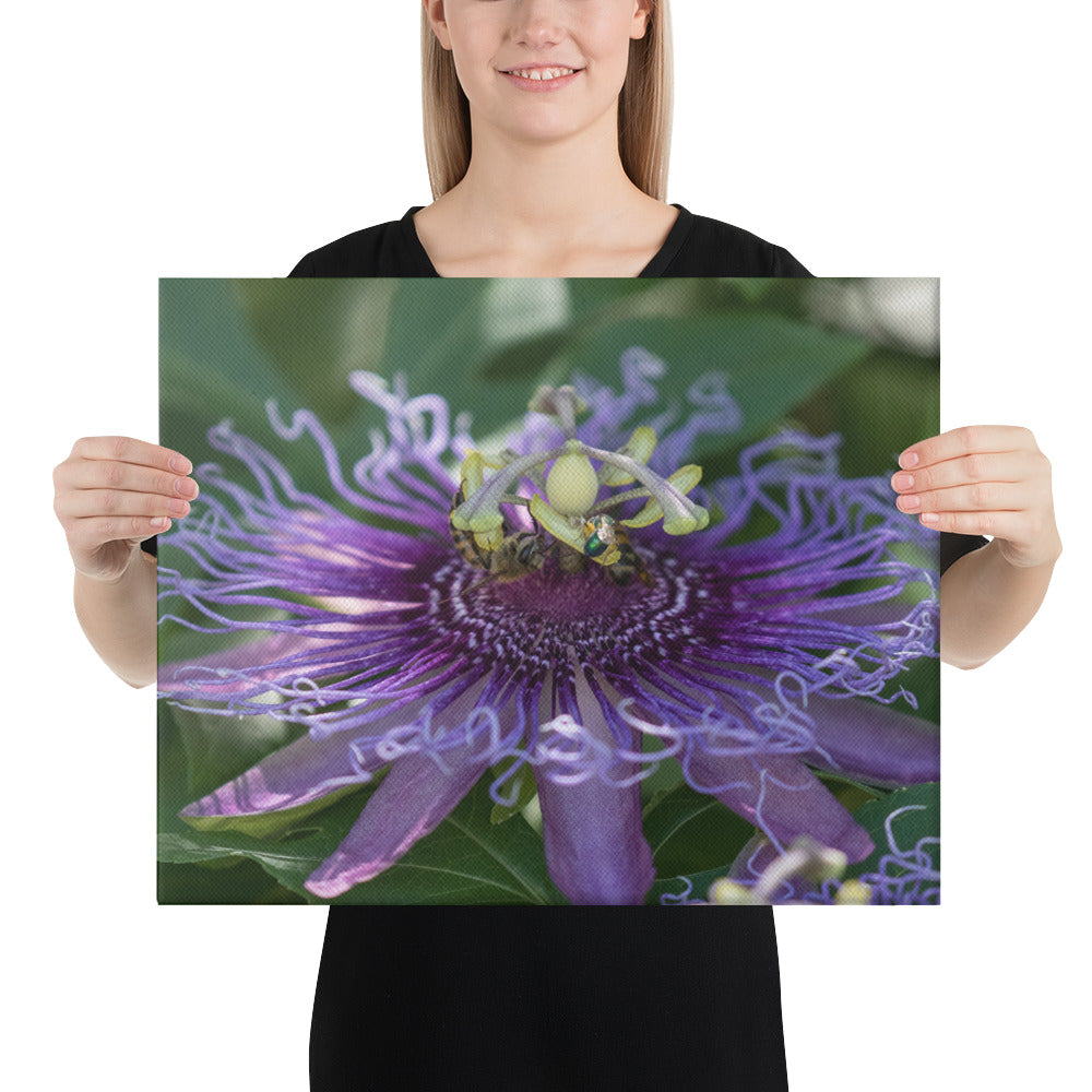 Purple Passion Flower by Leslie Leathers Photography | Wrapped Canvas